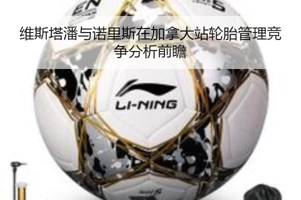 维斯塔潘与诺里斯在加拿大站轮胎管理竞争分析前瞻